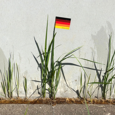 Deutschland Multicolor Flagge-Gras